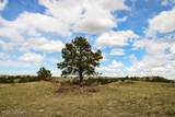 Tract D-8 Broad Axe Rd - Photo 14