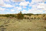 Tract D-8 Broad Axe Rd - Photo 15