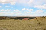 Tract D-8 Broad Axe Rd - Photo 18