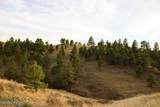 Tract D-10 Broad Axe Rd - Photo 11