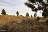 Tract D-10 Broad Axe Rd - Photo 15