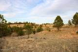 Tract D-10 Broad Axe Rd - Photo 16