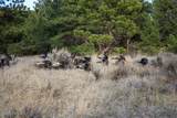 Tract D-10 Broad Axe Rd - Photo 8