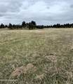 Tract 1 Triple R Bar - Photo 2