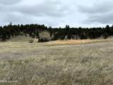 Tract 1 Triple R Bar - Photo 4