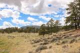7 Hawk Ridge - Photo 51