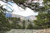 7 Hawk Ridge - Photo 54