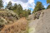 7 Hawk Ridge - Photo 57