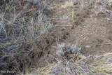 7 Hawk Ridge - Photo 65