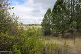 141 Broad Axe Rd - Photo 82
