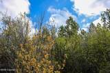 141 Broad Axe Rd - Photo 83