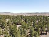 Tbd Pine Avenue - Photo 11