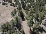 Tbd Pine Avenue - Photo 13