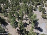 Tbd Pine Avenue - Photo 14