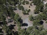 Tbd Pine Avenue - Photo 15