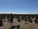 Tbd Pine Avenue - Photo 2
