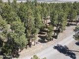 Tbd Pine Avenue - Photo 20