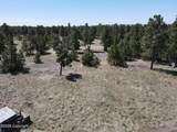 Tbd Pine Avenue - Photo 23