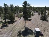 Tbd Pine Avenue - Photo 24