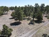 Tbd Pine Avenue - Photo 26
