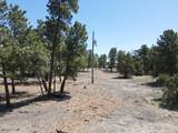 Tbd Pine Avenue - Photo 29