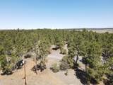 Tbd Pine Avenue - Photo 4
