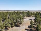 Tbd Pine Avenue - Photo 5