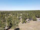 Tbd Pine Avenue - Photo 6