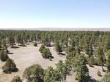 Tbd Pine Avenue - Photo 8