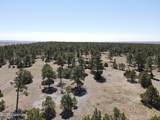 Tbd Pine Avenue - Photo 9