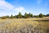 Lot 1 Sunset Ridge Road - Photo 5