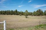 Lot 5 Pine Haven Road - Photo 13