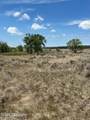 Tbd Skull Creek - Photo 10