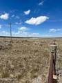 Tbd Skull Creek - Photo 4
