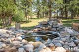 10 Ox Yoke - Photo 51