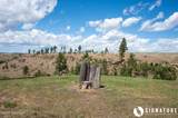 10 Ox Yoke - Photo 67