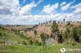 10 Ox Yoke - Photo 69