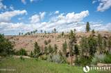 10 Ox Yoke - Photo 70