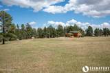 10 Ox Yoke - Photo 75