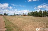 10 Ox Yoke - Photo 78