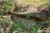 10 Ox Yoke - Photo 80