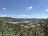 Tbd Homestead Road - Photo 1