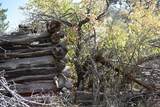 Tbd Homestead Road - Photo 10