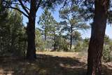 Tbd Homestead Road - Photo 11