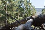 Tbd Homestead Road - Photo 14