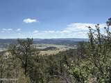 Tbd Homestead Road - Photo 2