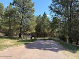 Tbd Homestead Road - Photo 3