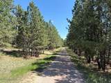 Tbd Homestead Road - Photo 4