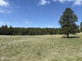 Tbd Homestead Road - Photo 6