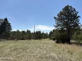 Tbd Homestead Road - Photo 7